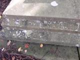 image of grave number 171073